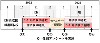 図：体調アンケートの試験デザイン