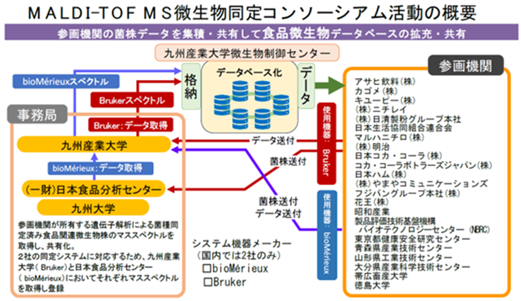 図：MALDI-TOF MS微生物同定コンソーシアム活動の概要