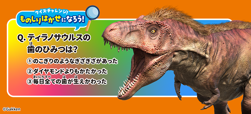 クイズチャレンジ！ものしりはかせになろう！の画像