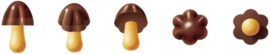 画像：「きのこの山」を上下左右からみた立体図