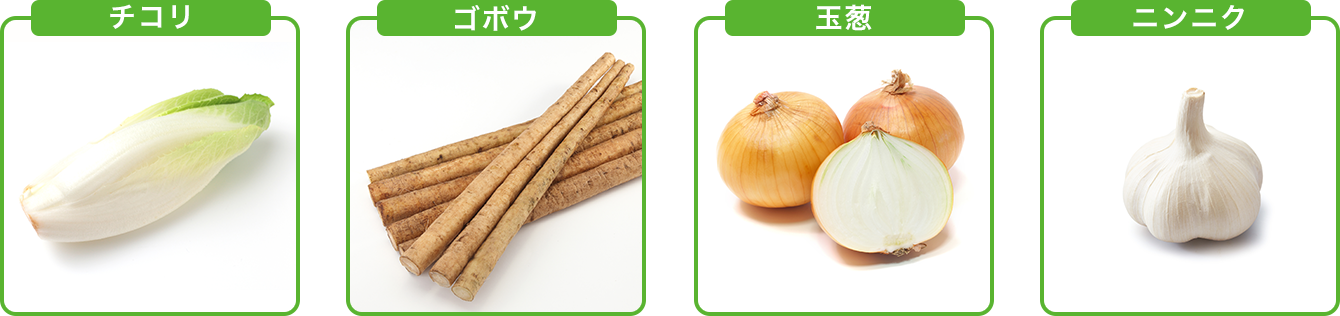 イヌリンとは