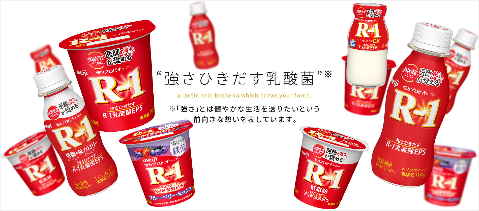 強さひきだす乳酸菌