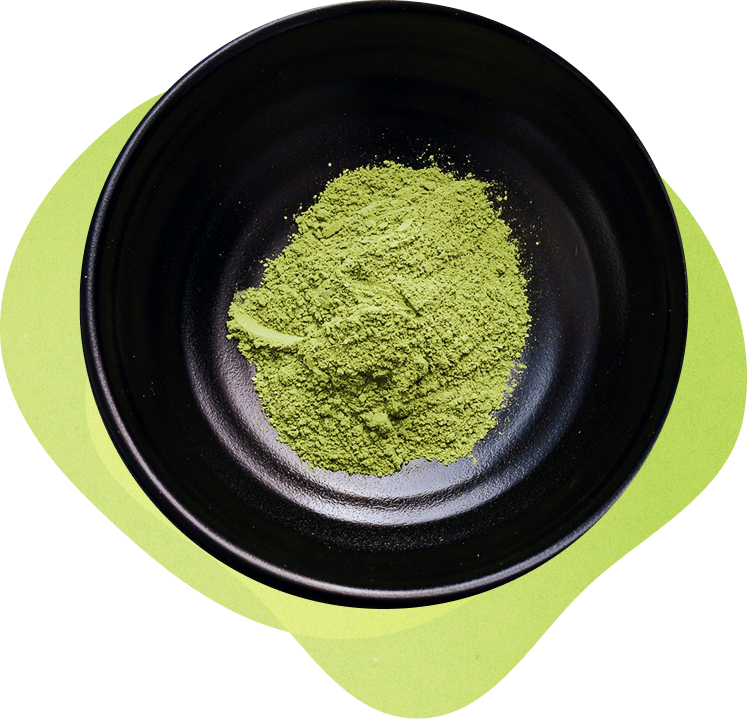 型にとらわれない茶の新しい可能性