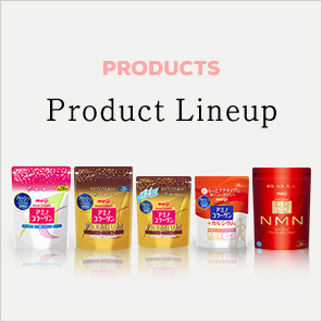 Product Lineup