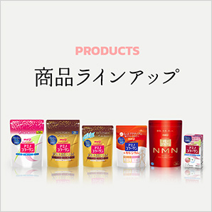 商品ラインアップ