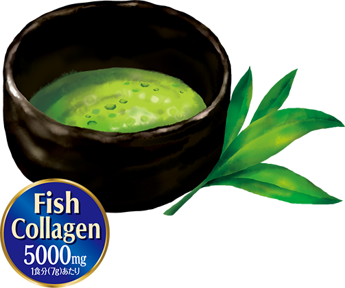 低分子化フィッシュコラーゲン5000mg