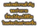 แหล่งพลังงานสำคัญ ของร่างกาย ที่ช่วยให้คุณใช้ชีวิต ในแต่ละวันอย่างสดชื่น