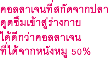 คอลลาเจนที่สกัดจากปลา ดูดซึมเข้าสู่ร่างกาย 50% ได้ดีกว่าคอลลาเจน ที่ได้จากหนังหมู 50%.
