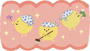 カカオプロテインとは？その効果は？