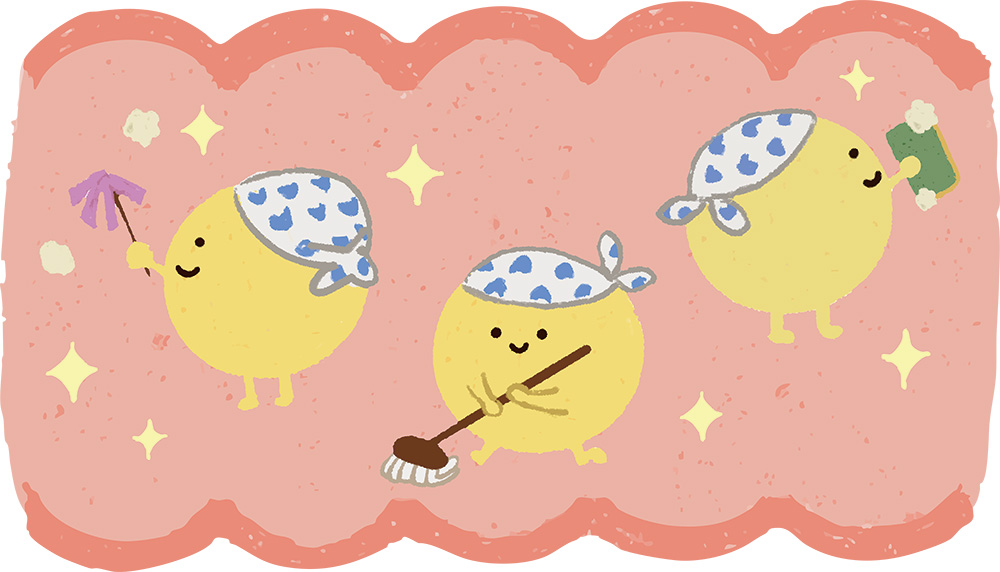 カカオプロテインとは？その効果は？