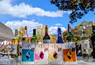 新酒の季節に、カカオの香りを添えて。勝沼「ぶどうの丘」で出会うマリアージュ体験