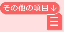その他の項目