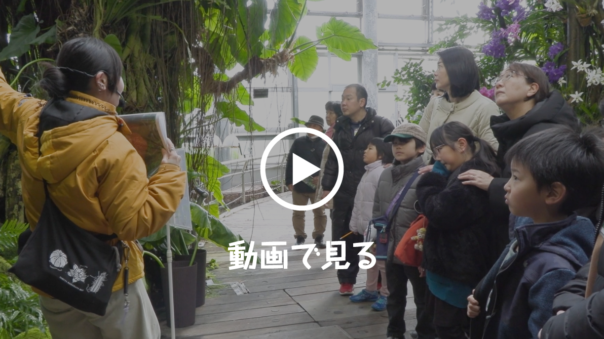 明治カカオ・チョコレート体験ツアー in 大阪 ムービーを見る