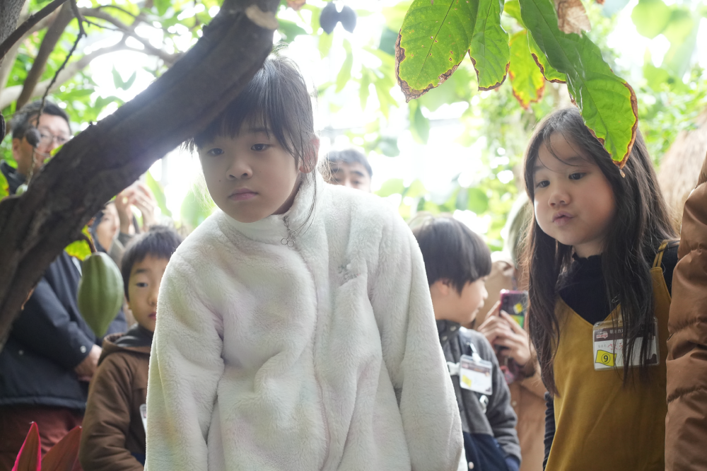 咲くやこの花館 フラワーツアー