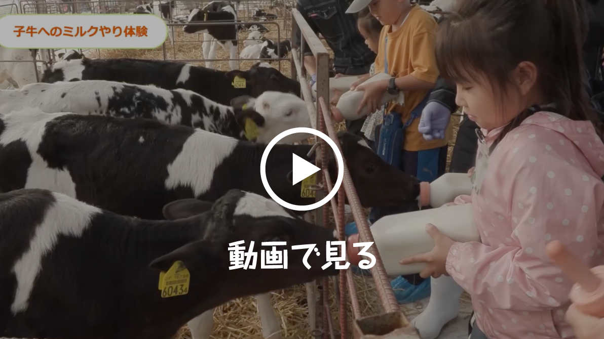 明治みるく体験ツアー in 北海道十勝 ムービーを見る