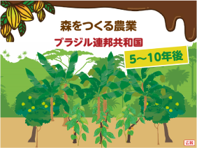 希望のチョコレート スライド3
