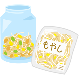 野菜を育てて観察しよう_もやし_育てたもやしと市販のもやし