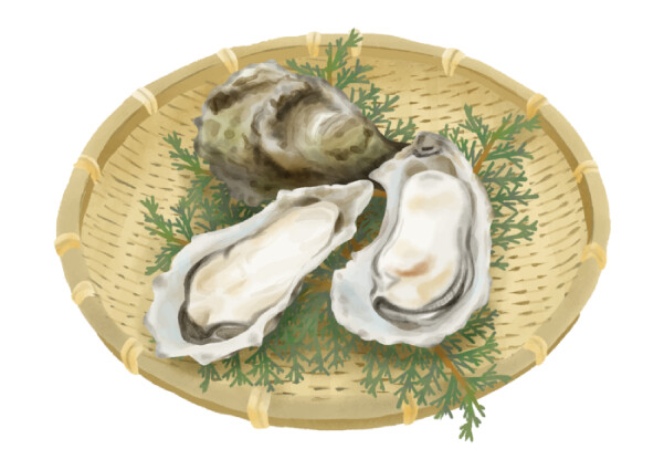牡蠣(カキ)