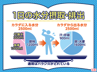 見直そう！水分補給 スライドイメージ
