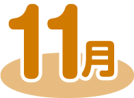 11月