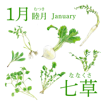 1月（睦月／January）『七草』