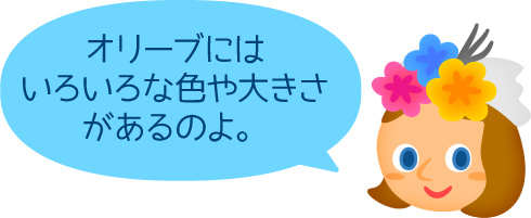 オリーブにはいろいろな色や大きさがあるのよ。
