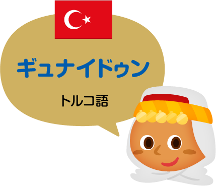 ギュナイドゥン／トルコ語