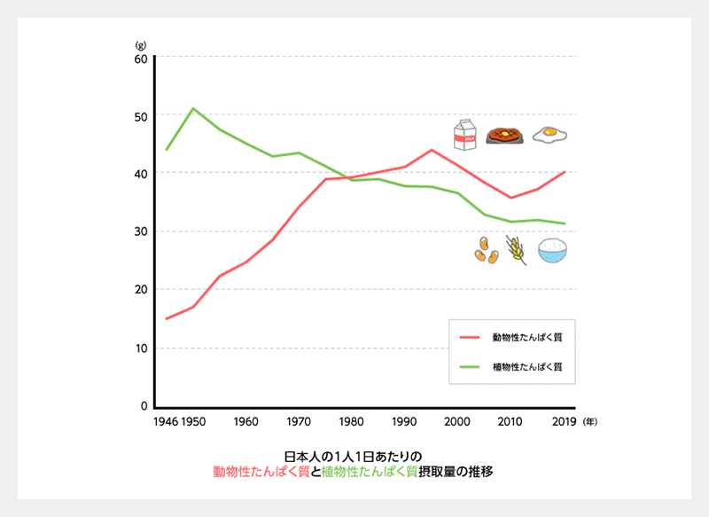 日本人の1人1日あたりの動物性たんぱく質と植物性たんぱく質摂取量の推移