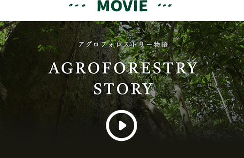 MOVIE：アグロフォレストリー物語