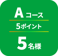 Aコース 5ポイント 5名様