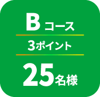 Bコース 3ポイント 25名様