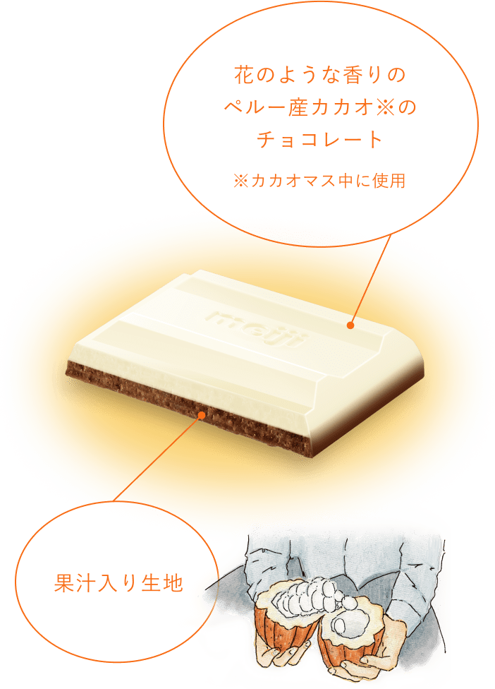 チョコレートの断面図