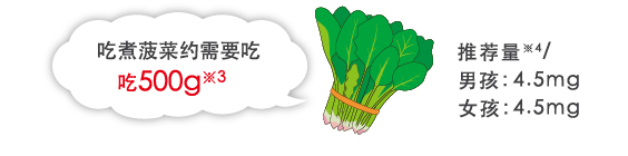 吃煮菠菜约需要吃吃500g※3