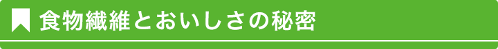 食物繊維とおいしさの秘密