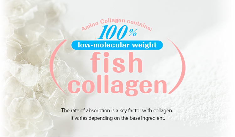 Fish Collagen