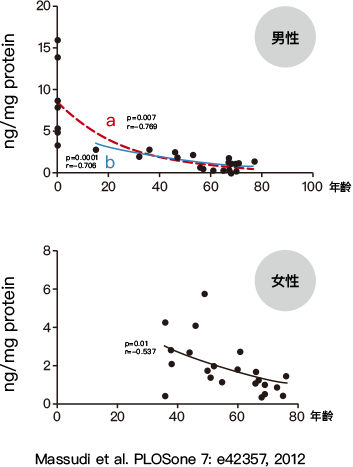 皮膚NAD+含量