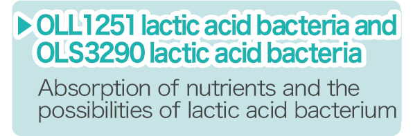 OLL1251 lactic acid bacteria and OLS3290 lactic acid bacteria