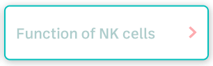 Function of NK cells
