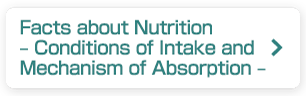 Facts about Nutrition – Conditions of Intake and Mechanism of Absorption –