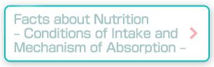 Facts about Nutrition – Conditions of Intake and Mechanism of Absorption –