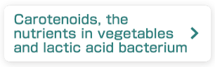 Carotenoids, the nutrients in vegetables and lactic acid bacterium