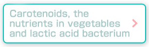 Carotenoids, the nutrients in vegetables and lactic acid bacterium