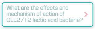 What are the effects and mechanism of action of OLL2712 lactic acid bacteria?