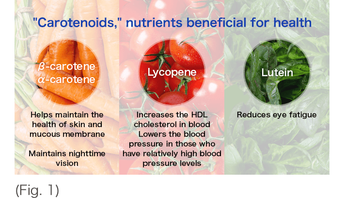 "Carotenoids," nutrients beneficial for health (Fig. 1)