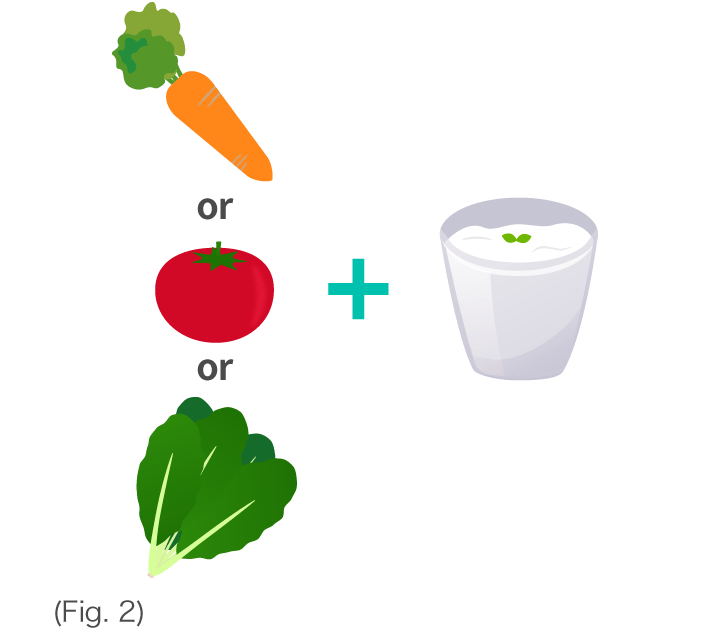 (Fig. 2)