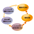 Mechanism of fat accumulation and chronic inflammation