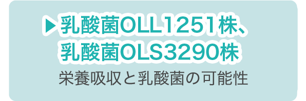 乳酸菌OLL1251株、乳酸菌OLS3290株