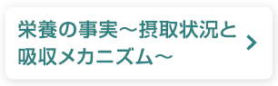 栄養の事実〜摂取状況と吸収メカニズム〜