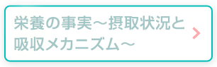 栄養の事実〜摂取状況と吸収メカニズム〜