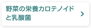 野菜の栄養カロテノイドと乳酸菌